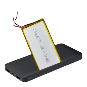 باتری پاور پانک